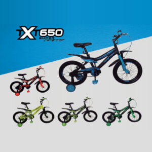 Gw X650 Rin 16