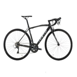 Gw Gavia